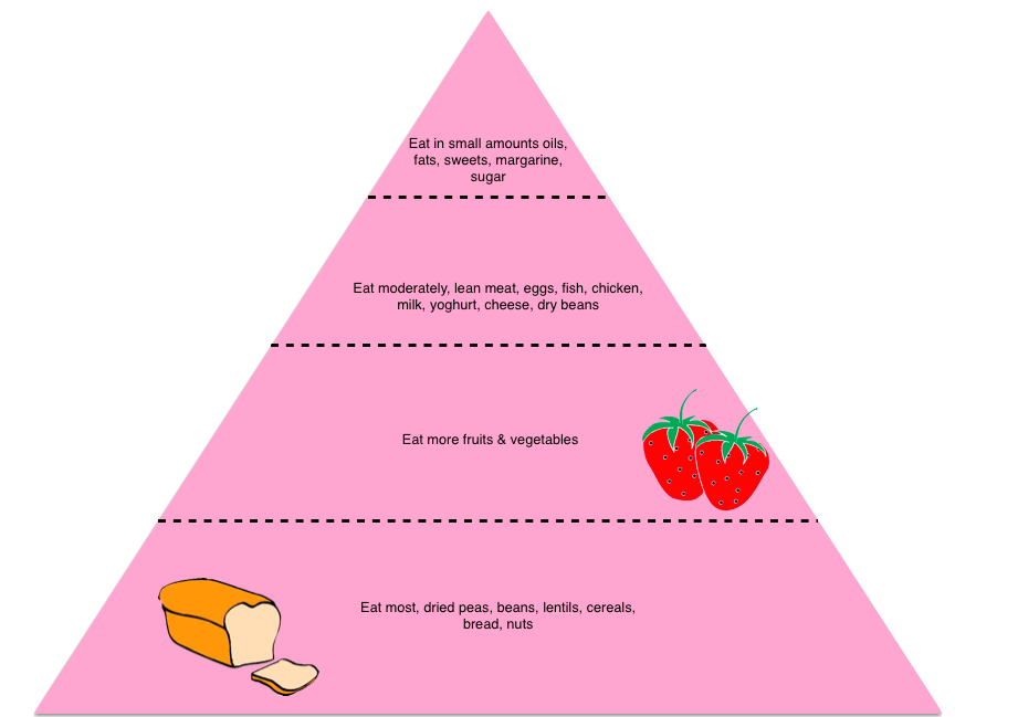 Australian Healthy Living Pyramid  Food selection and health